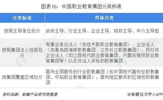 圖表10：中國職業教育集團分類標準